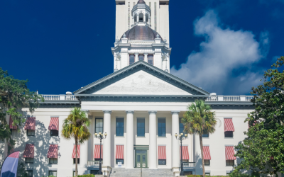 What Is Florida Senate Bill 2-A and How Does It Affect Floridians?